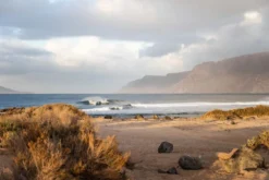 ION Neoprenanzug Element Steamer SS FZ DL 2/2 Herren Dark Olive/white/black 2022 -AquaFit Verkäufe C0A5343 30 jpg